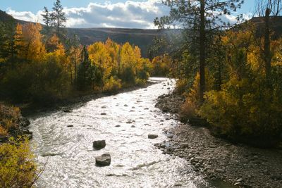 Tieton River Nature Trail