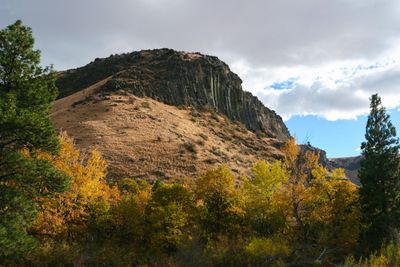 Tieton River Nature Trail