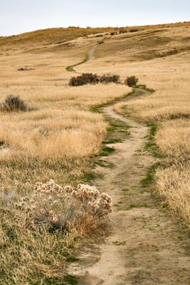 Hanford Reach National Monument