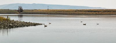 Hanford Reach National Monument