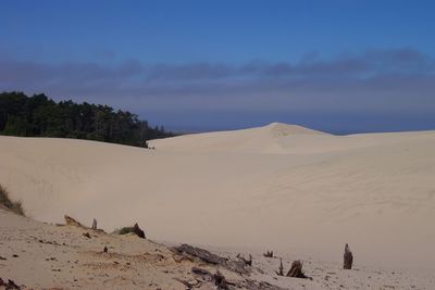 Oregon Dunes National Recreation Area