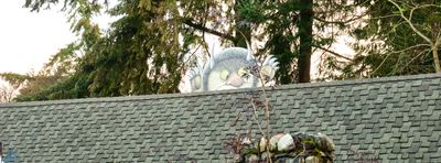 Nutcracker House