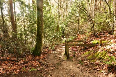 St. Edward State Park