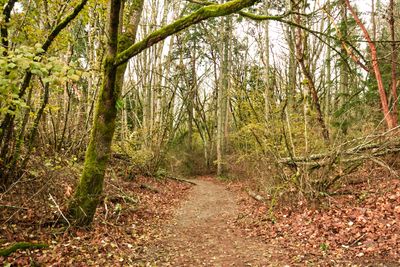 St. Edward State Park