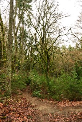 St. Edward State Park