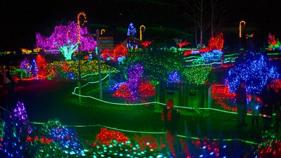 ZooLights