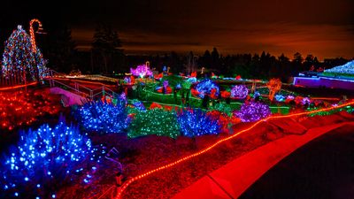 ZooLights