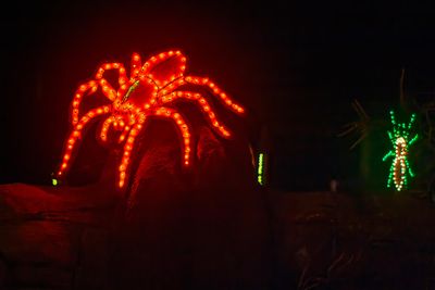 ZooLights
