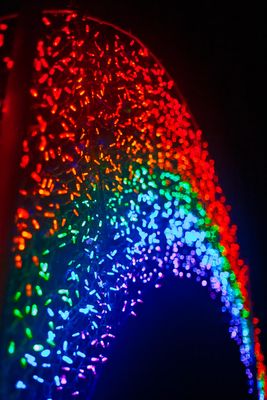 ZooLights