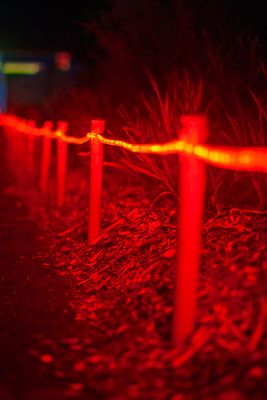 ZooLights