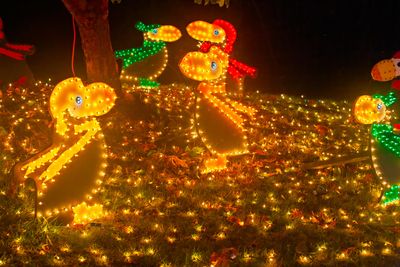 ZooLights