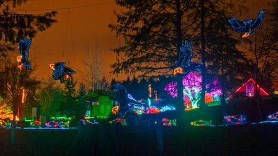 ZooLights