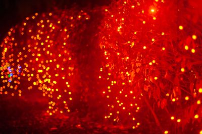 ZooLights