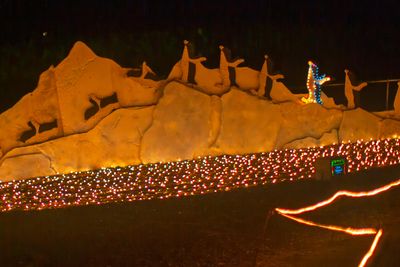 ZooLights