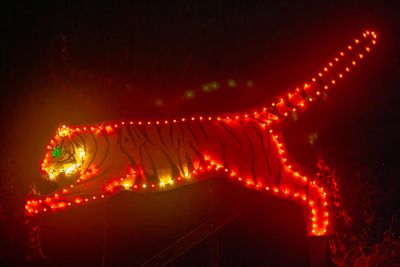 ZooLights
