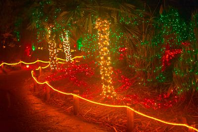 ZooLights