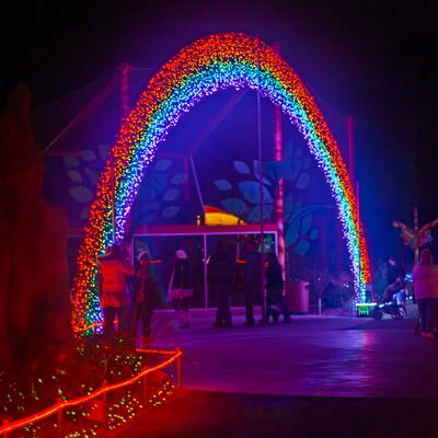ZooLights