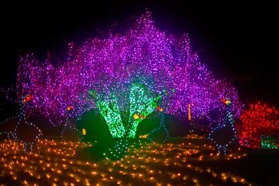 ZooLights