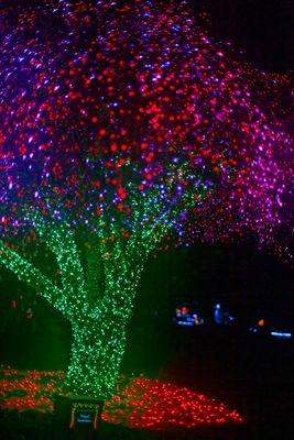 ZooLights