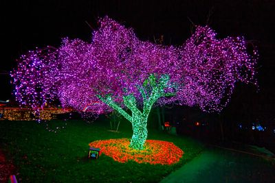ZooLights