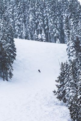 White Pass Winter Carnival