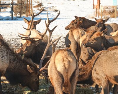 Oak Creek Wildlife Area