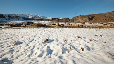 Oak Creek Wildlife Area