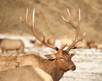 Oak Creek Wildlife Area