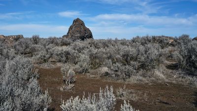 Monster Rock