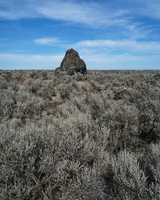 Monster Rock