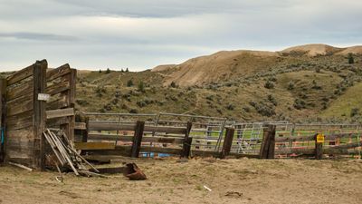 Juniper Dunes Wilderness Area