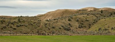 Juniper Dunes Wilderness Area