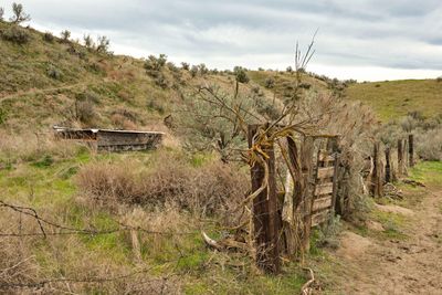 Juniper Dunes Wilderness Area