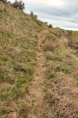Juniper Dunes Wilderness Area