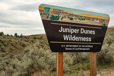 Juniper Dunes Wilderness Area