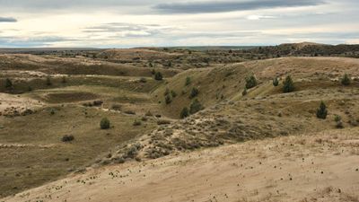 Juniper Dunes Wilderness Area