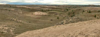 Juniper Dunes Wilderness Area