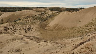 Juniper Dunes Wilderness Area