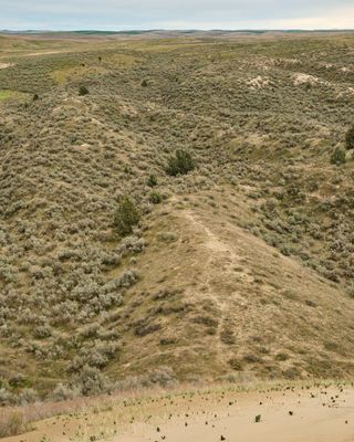 Juniper Dunes Wilderness Area