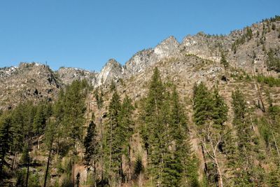 Drury Falls