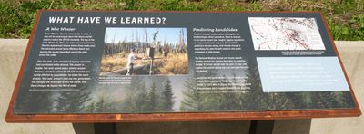 SR530 Oso Slide Memorial