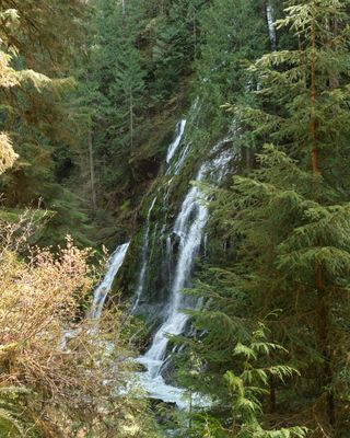 Feature Show Falls