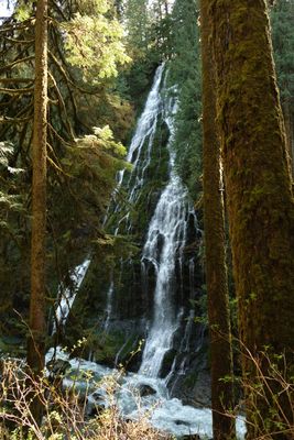 Feature Show Falls