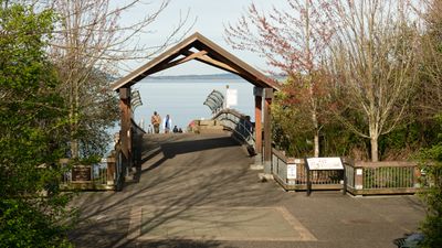 Taylor Dock Boardwalk