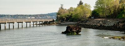 Taylor Dock Boardwalk