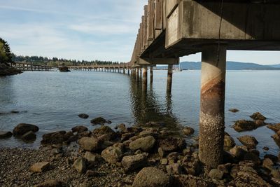 Taylor Dock Boardwalk