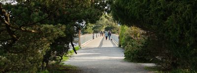 Taylor Dock Boardwalk