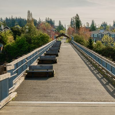 Taylor Dock Boardwalk
