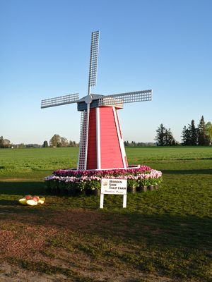 Wooden Shoe Tulip Farm