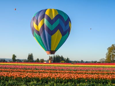 Wooden Shoe Tulip Farm